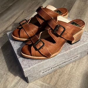 Freebird by Steven Brand New!